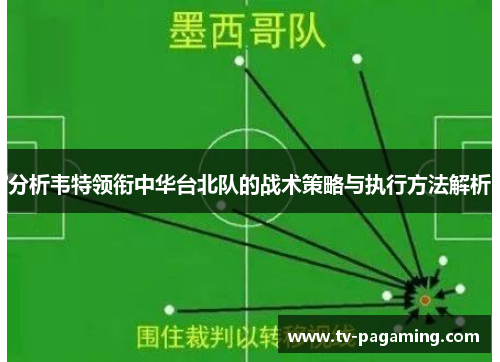 分析韦特领衔中华台北队的战术策略与执行方法解析
