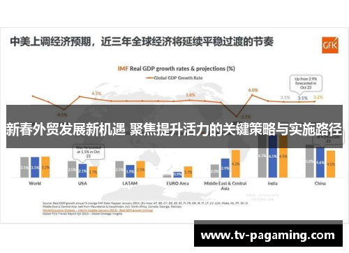 新春外贸发展新机遇 聚焦提升活力的关键策略与实施路径