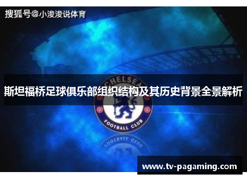 斯坦福桥足球俱乐部组织结构及其历史背景全景解析