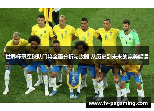 世界杯冠军球队门将全面分析与攻略 从历史到未来的完美解读