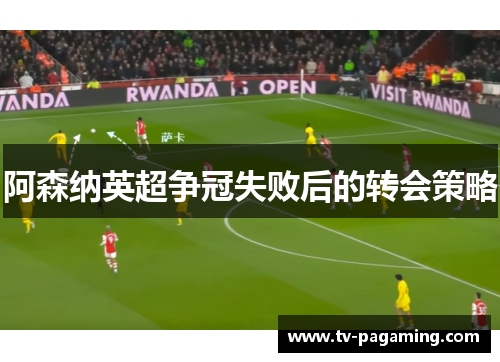 阿森纳英超争冠失败后的转会策略