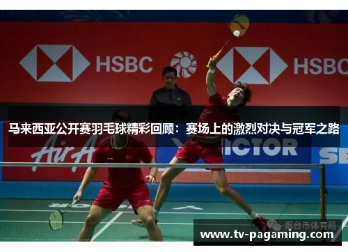 马来西亚公开赛羽毛球精彩回顾：赛场上的激烈对决与冠军之路