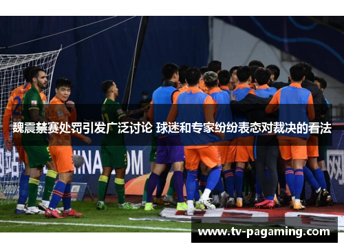 魏震禁赛处罚引发广泛讨论 球迷和专家纷纷表态对裁决的看法
