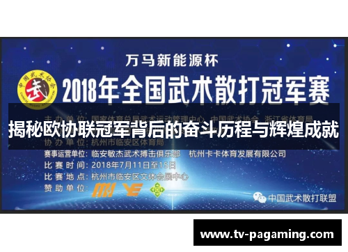 揭秘欧协联冠军背后的奋斗历程与辉煌成就